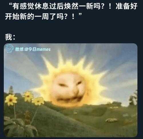 好久没看白丝了提提神 囧图 认识的人多了就更喜欢狗