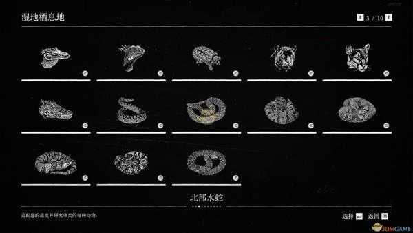 《荒野大镖客2》湿地栖息地全动物一览