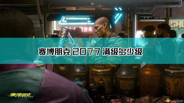 《赛博朋克2077》满级属性技能点介绍