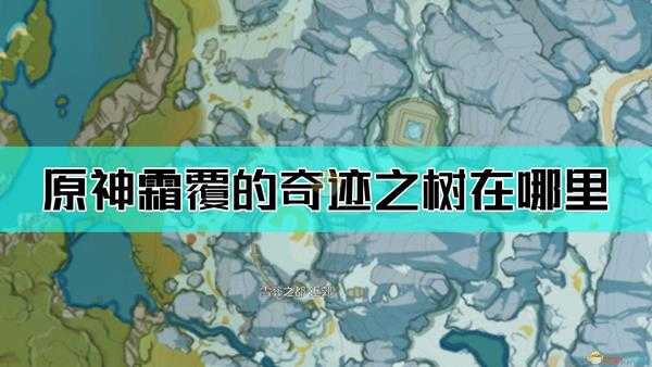 《原神》霜覆的奇迹之树位置介绍