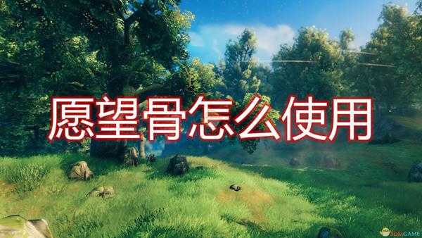 《Valheim：英灵神殿》愿望骨使用方法介绍