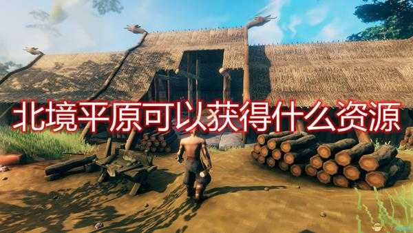 《Valheim：英灵神殿》北境平原可获得资源介绍