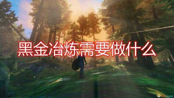 《Valheim：英灵神殿》黑金冶炼方法介绍