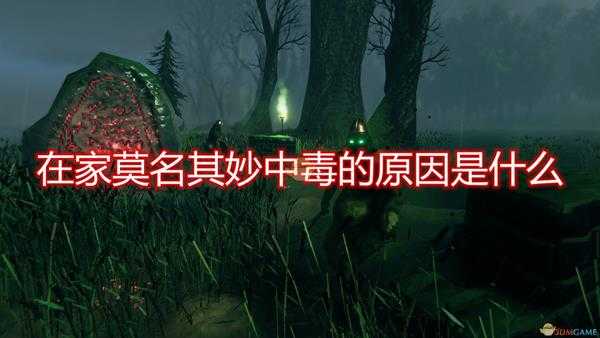 《Valheim：英灵神殿》在家莫名其妙中毒原因介绍