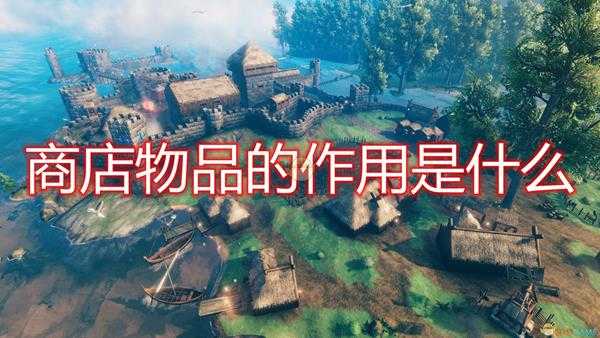 《Valheim：英灵神殿》全商店物品作用介绍