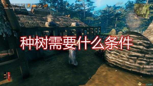 《Valheim：英灵神殿》种树所需条件一览