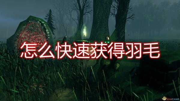 《Valheim：英灵神殿》快速获得羽毛方法介绍