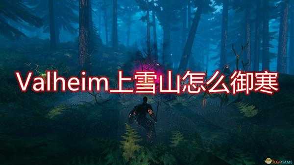 《Valheim：英灵神殿》雪山御寒方法介绍