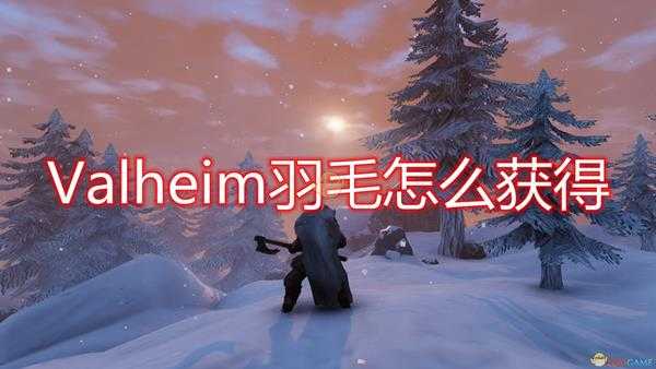 《Valheim：英灵神殿》羽毛获取流程介绍