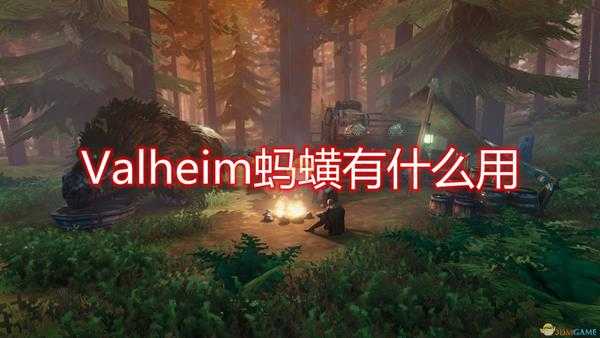 《Valheim：英灵神殿》蚂蟥作用效果介绍