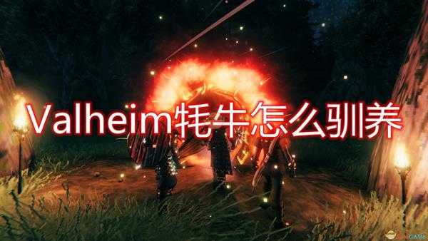 《Valheim：英灵神殿》牦牛驯养心得分享