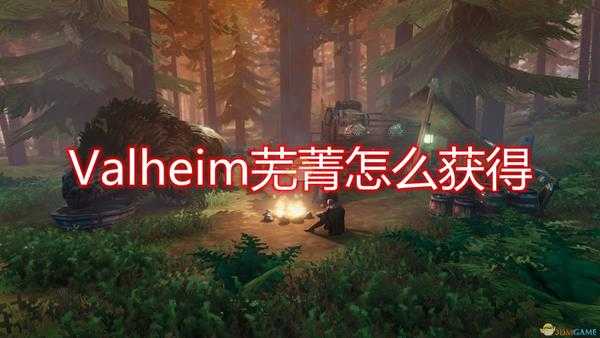 《Valheim：英灵神殿》芜菁获得方法介绍