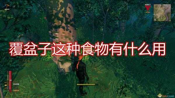 《Valheim：英灵神殿》覆盆子食物介绍