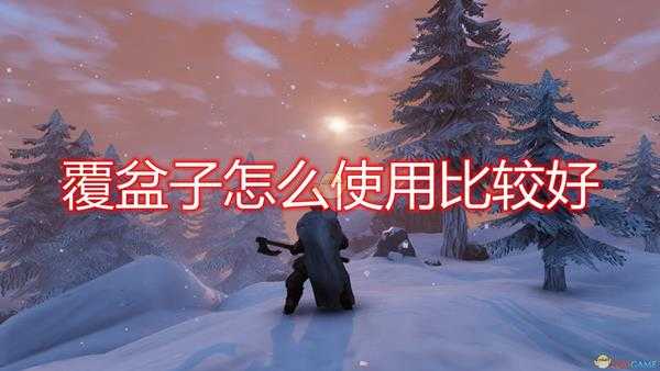 《Valheim：英灵神殿》覆盆子使用心得分享