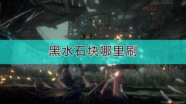 《帕斯卡契约：终极版》刷黑水石块的地方