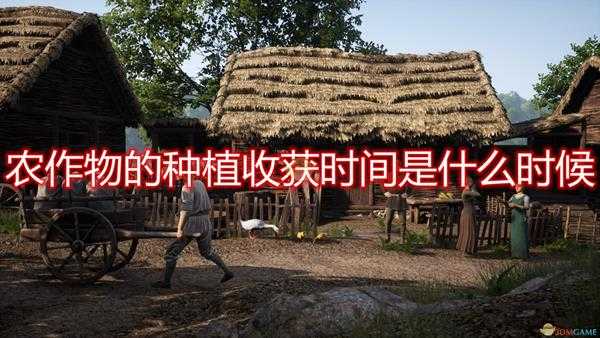 《中世纪王朝》全农作物种植收获时间介绍