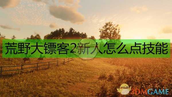 《荒野大镖客2》新人技能点分配建议