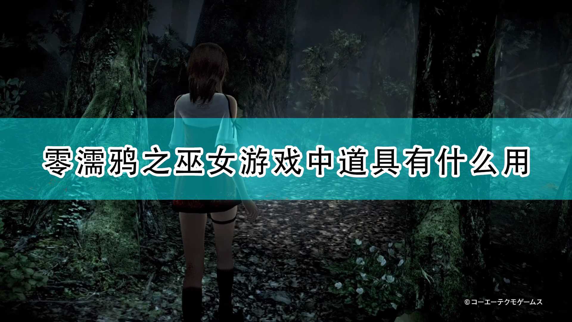 《零：濡鸦之巫女》游戏全道具作用介绍