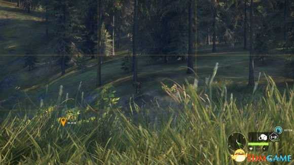 猎人荒野的呼唤个人狩猎套路技巧