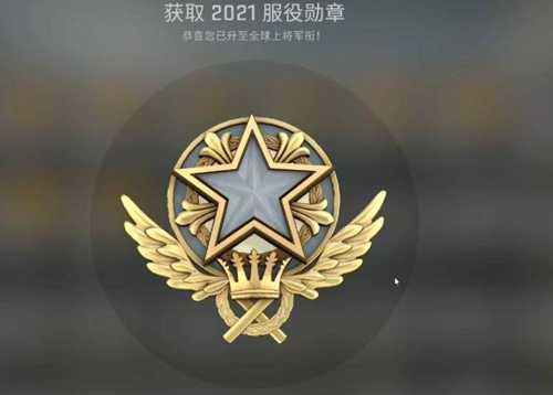 csgo多少级有服役勋章