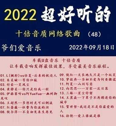 群星《2022超好听的十倍音质网络歌曲（48）》WAV分轨