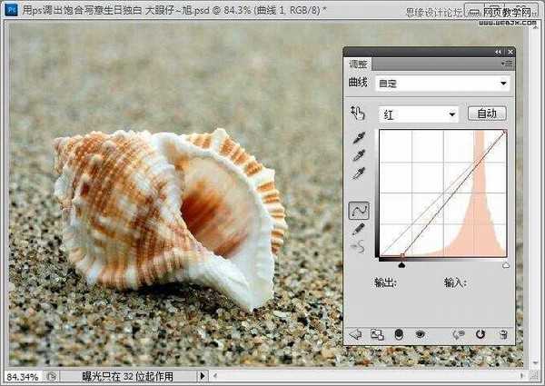 Photoshop制作出低调的沙滩海螺图片的写意效果教程