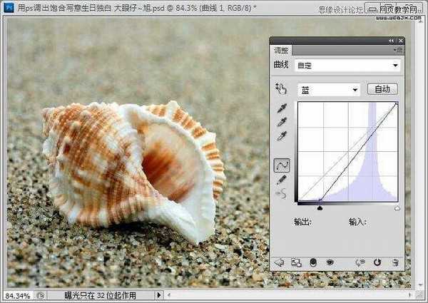 Photoshop制作出低调的沙滩海螺图片的写意效果教程