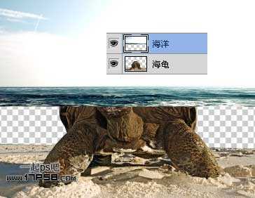 photoshop合成制作海龟岛­自然场景