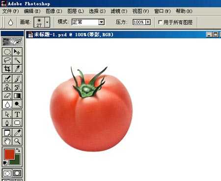 PHOTOSHOP鼠绘出逼真蕃茄教程