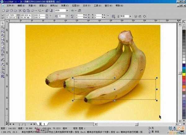 CorelDraw(CDR)利用网格工具模仿制作逼真香蕉实例教程详解