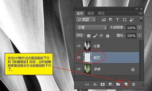 PhotoShop利用计算工具为图片调色教程