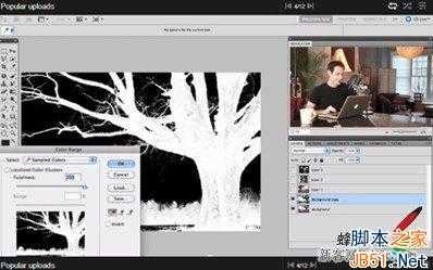 ps制作人和树的双重曝光特效的制作教程