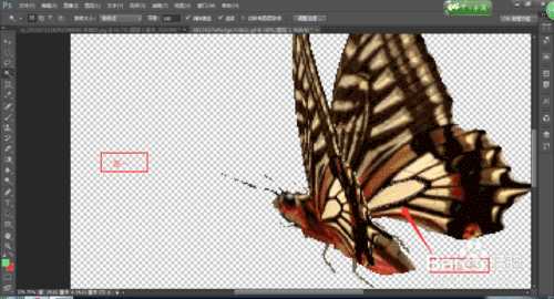 photoshop cs6魔棒工具使用技巧详解