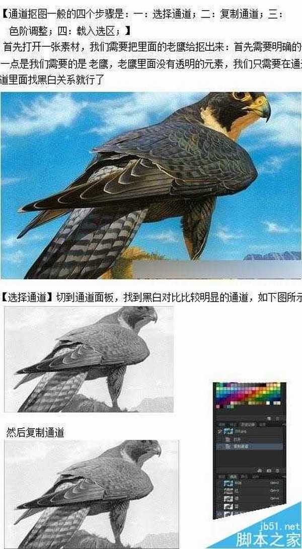 修图必备:3种实用photoshop抠图+实例讲解