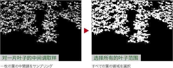 ps怎么改变爬山虎的颜色? ps给树叶调色的教程